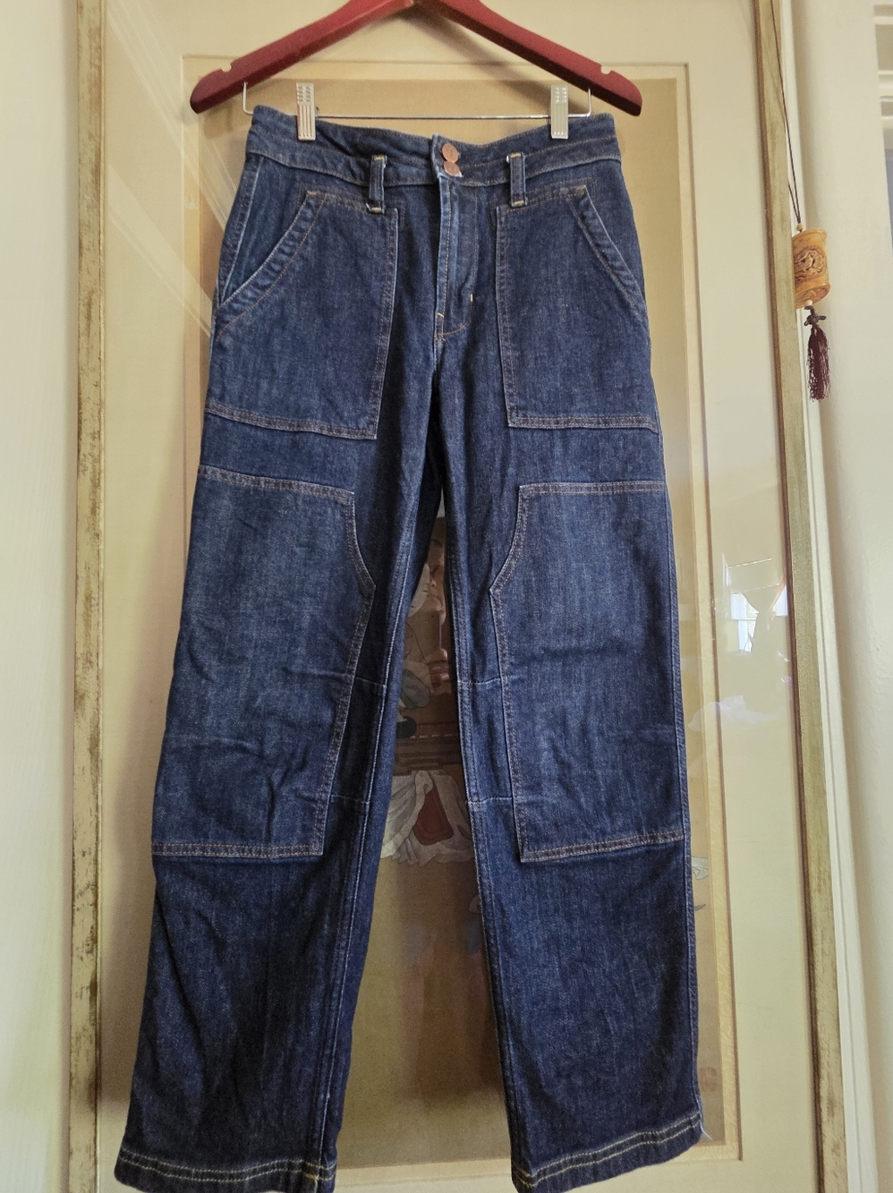 Anthropologie Pilcro Denium Utility Denim Pants Size 27